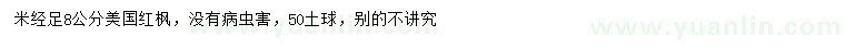 求購8公分美國紅楓