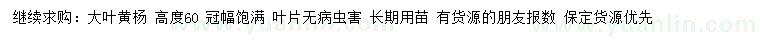 求購(gòu)高60公分大葉黃楊