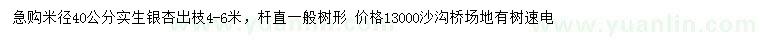 求購(gòu)米徑40公分銀杏