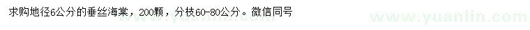 求購地徑6公分垂絲海棠