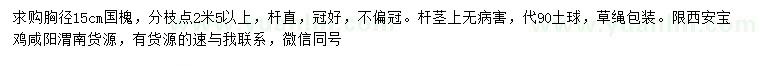 求購胸徑15公分國槐
