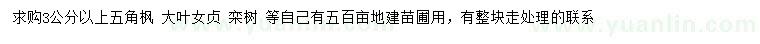 求購(gòu)五角楓、大葉女貞、欒樹