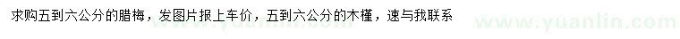 求購(gòu)5-6公分臘梅、木槿