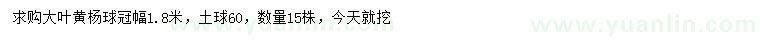 求購冠幅1.8米大葉黃楊球