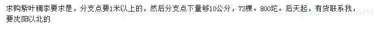 求購10公分紫葉稠李