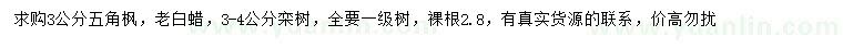 求購五角楓、老白蠟、欒樹