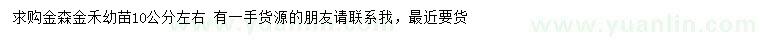 求購10公分左右金森女貞、金禾女貞