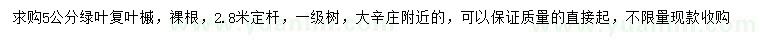 求購5公分綠葉復(fù)葉槭