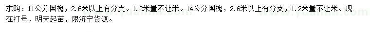 求購1.2米量11、14公分國槐