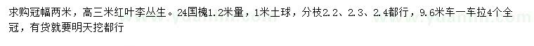 求購高3米叢生紅葉李、1.2米量24公分國(guó)槐