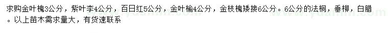 求購金葉槐、紫葉李、百日紅等