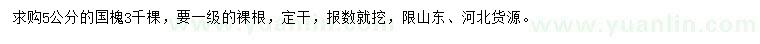求購5公分國槐