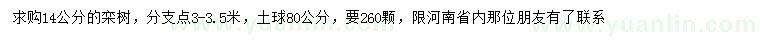 求購14公分欒樹