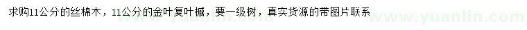 求購(gòu)11公分絲棉木、金葉復(fù)葉槭