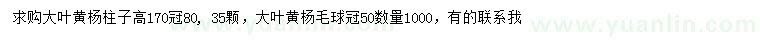 求購(gòu)高170公分大葉黃楊柱