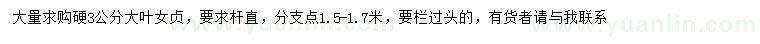 求購3公分大葉女貞