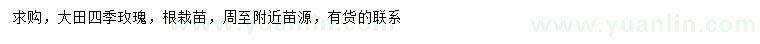 求購四季玫瑰