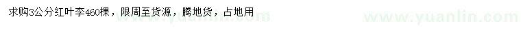 求購(gòu)3公分紅葉李