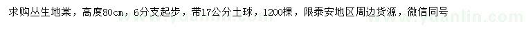 求購(gòu)高80公分叢生地棠