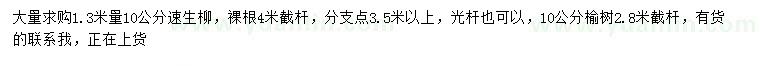求購1.3米量10公分速生柳、榆樹
