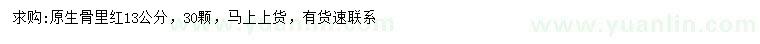 求購13公分骨里紅