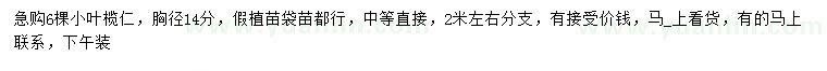 求購胸徑14公分小葉欖仁