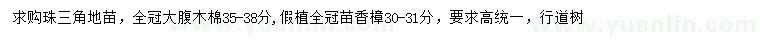 求購35-38公分大腹木棉、30-31公分香樟
