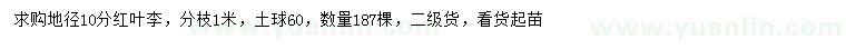 求購地徑10分紅葉李
