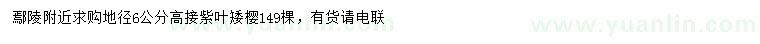 求購地徑6公分紫葉矮櫻