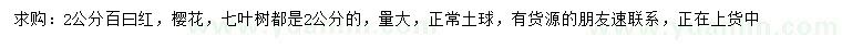 求購百曰紅、櫻花、七葉樹