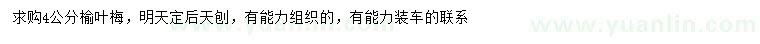 求購4公分榆葉梅