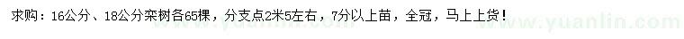 求購16、18公分欒樹