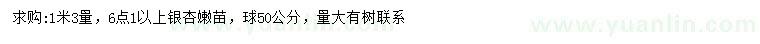 求購1.3米量6.1公分以上銀杏
