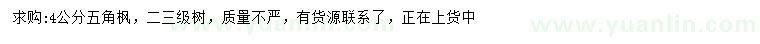 求購4公分五角楓