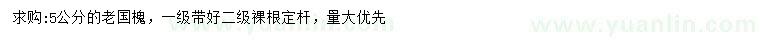 求購(gòu)5公分老國(guó)槐