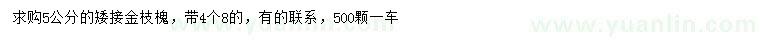 求購4.8公分以上金枝槐