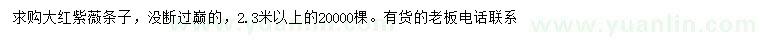 求購2.3米以上大紅紫薇條子