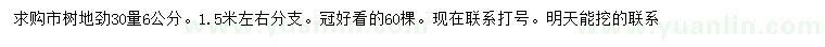 求購(gòu)30量6公分柿樹