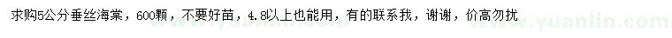 求購(gòu)4.8公分以上垂絲海棠