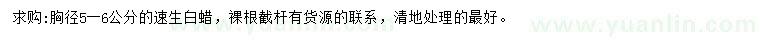 求購胸徑5-6公分速生白蠟