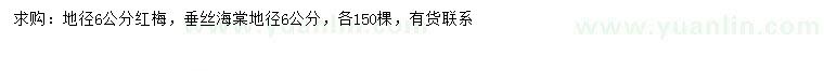 求購地徑6公分紅梅、垂絲海棠
