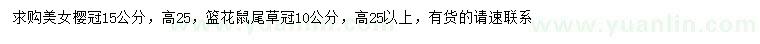 求購冠幅15公分美女櫻、冠幅10公分藍(lán)花鼠尾草