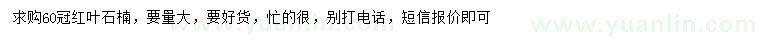 求購冠幅60公分紅葉石楠