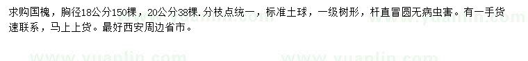 求購胸徑18、20公分國槐