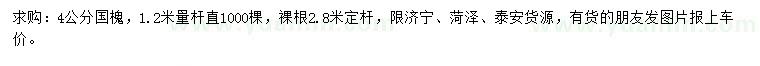 求購1.2米量4公分國槐