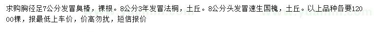 求購(gòu)臭椿、法桐、速生國(guó)槐