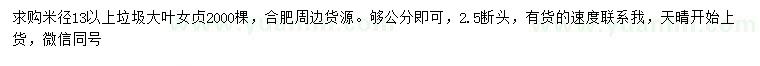 求購米徑13公分以上大葉女貞