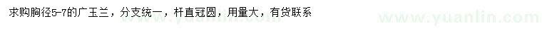 求購胸徑5-7公分廣玉蘭