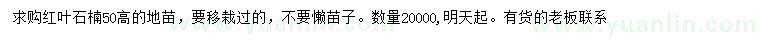 求購高50公分紅葉石楠