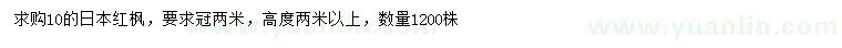 求購10公分日本紅楓